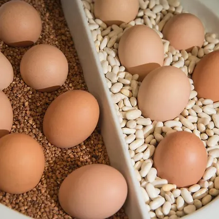 Rosslyn Dimyat Hotell 4*