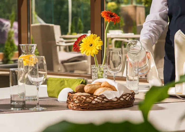 瓦尔纳罗斯林迪米亚特酒店 酒店 瓦爾納