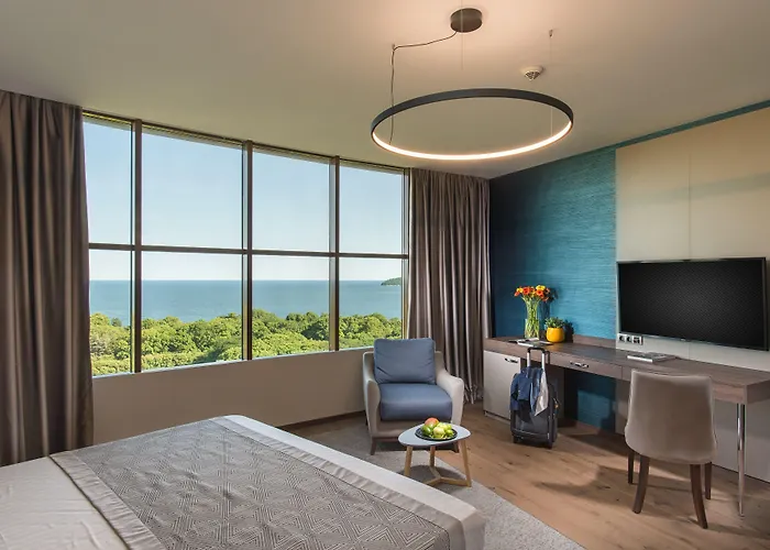 瓦尔纳罗斯林迪米亚特酒店 酒店 瓦爾納