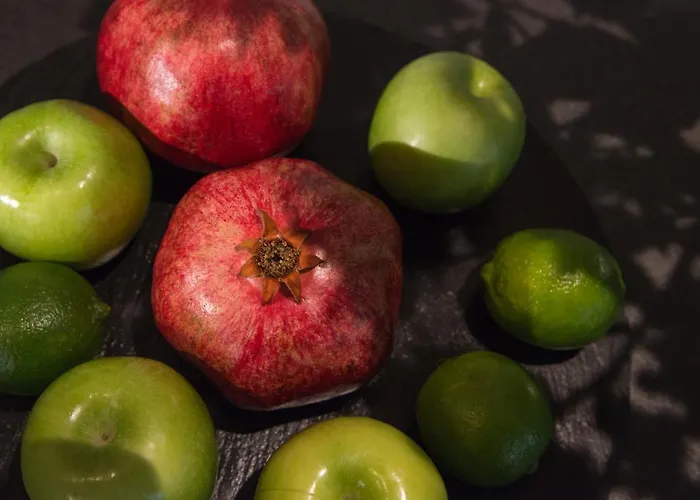 瓦尔纳罗斯林迪米亚特酒店 酒店 瓦爾納